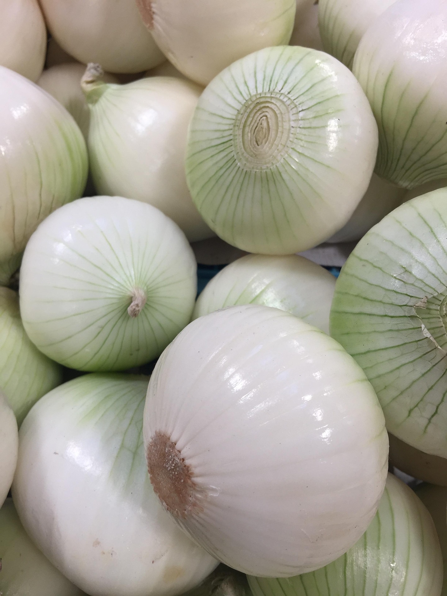 White Onion